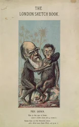 Cartoon of Darwin with an Ape, from The London Sketch Book, April 1874